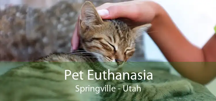 Pet Euthanasia Springville - Utah