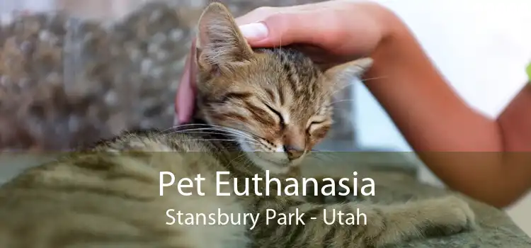 Pet Euthanasia Stansbury Park - Utah
