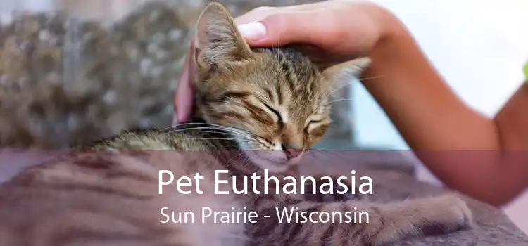 Pet Euthanasia Sun Prairie - Wisconsin