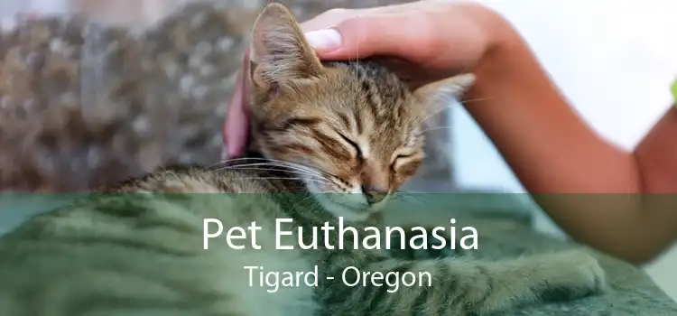 Pet Euthanasia Tigard - Oregon
