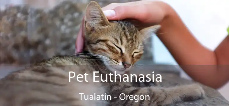 Pet Euthanasia Tualatin - Oregon