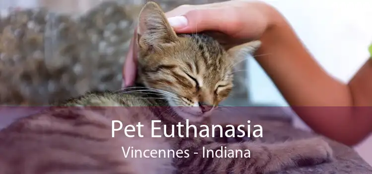 Pet Euthanasia Vincennes - Indiana