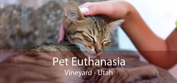 Pet Euthanasia Vineyard - Utah