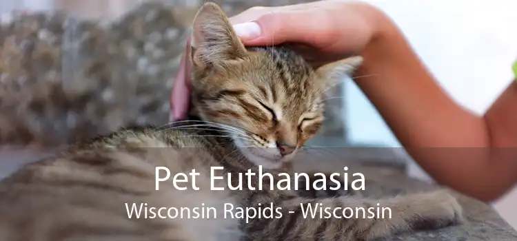 Pet Euthanasia Wisconsin Rapids - Wisconsin
