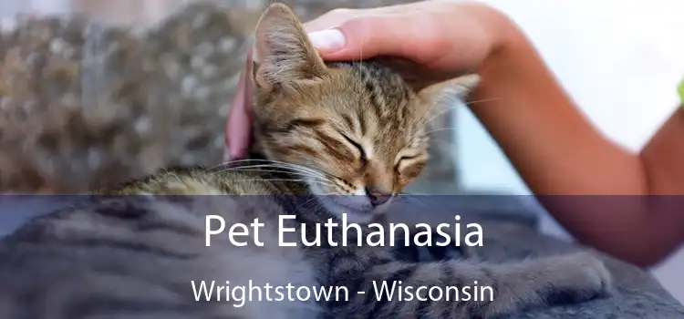 Pet Euthanasia Wrightstown - Wisconsin