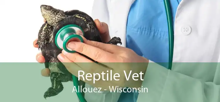 Reptile Vet Allouez - Wisconsin