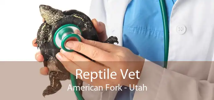 Reptile Vet American Fork - Utah