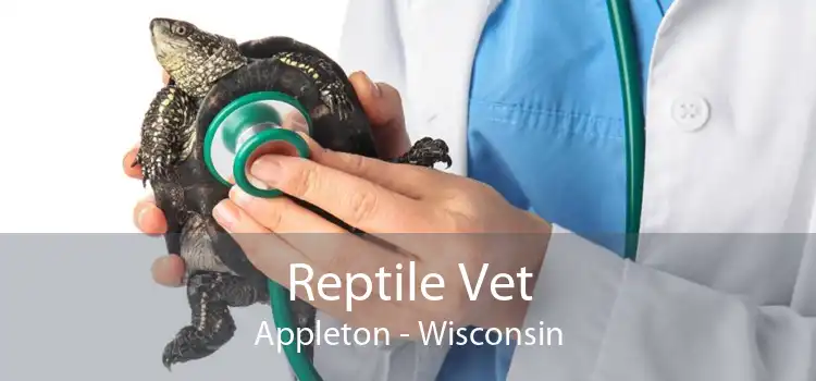 Reptile Vet Appleton - Wisconsin