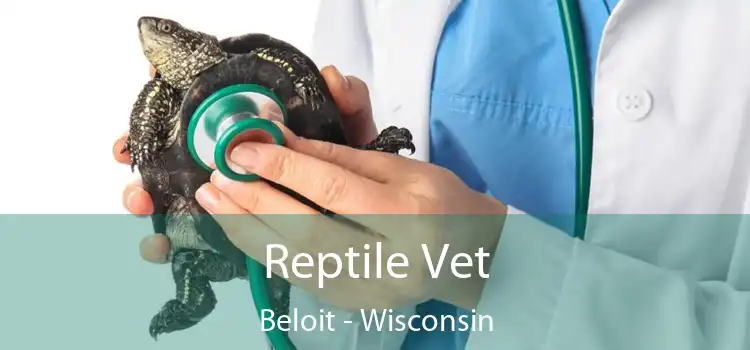 Reptile Vet Beloit - Wisconsin
