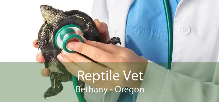Reptile Vet Bethany - Oregon
