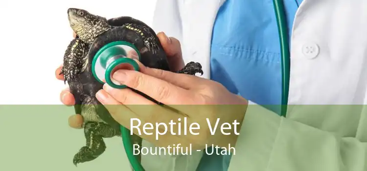 Reptile Vet Bountiful - Utah