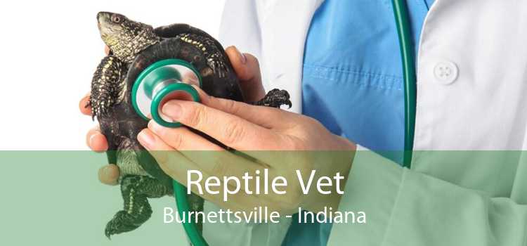Reptile Vet Burnettsville - Indiana
