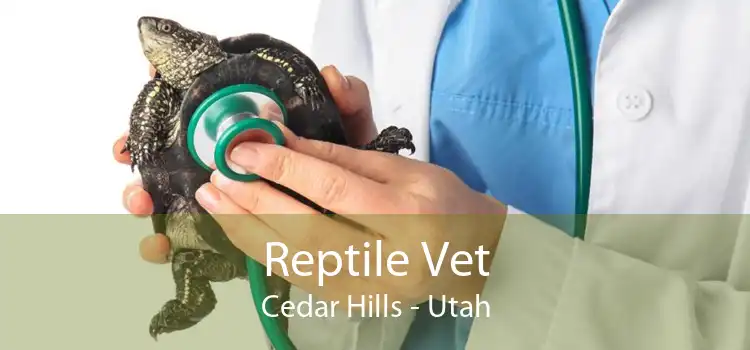 Reptile Vet Cedar Hills - Utah