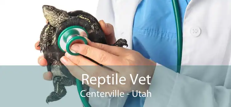 Reptile Vet Centerville - Utah