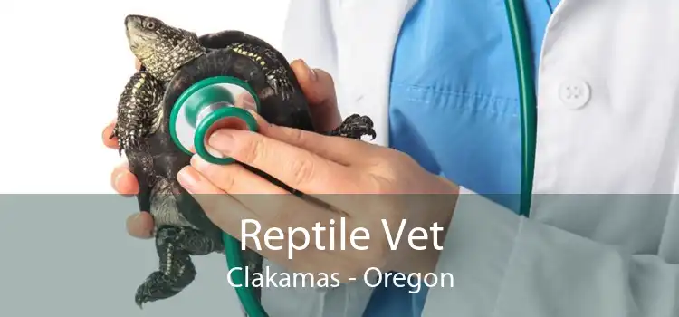 Reptile Vet Clakamas - Oregon