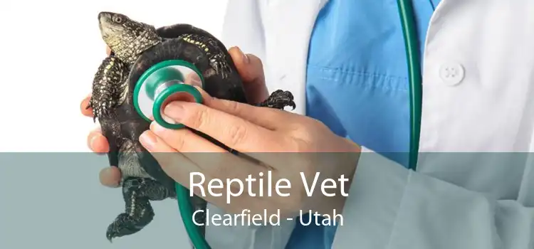 Reptile Vet Clearfield - Utah