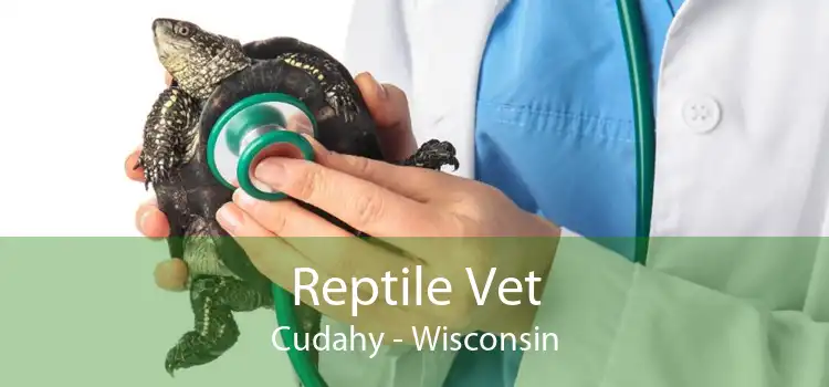 Reptile Vet Cudahy - Wisconsin