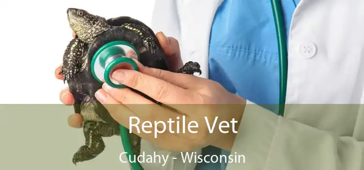 Reptile Vet Cudahy - Wisconsin