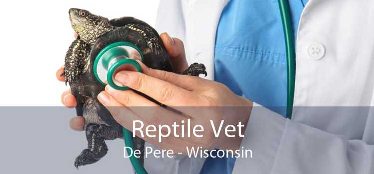 Reptile Vet De Pere - Wisconsin