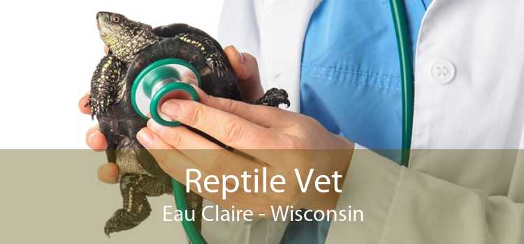 Reptile Vet Eau Claire - Wisconsin