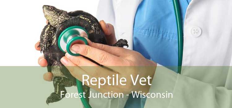 Reptile Vet Forest Junction - Wisconsin