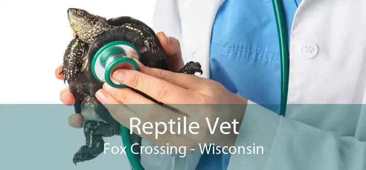 Reptile Vet Fox Crossing - Wisconsin