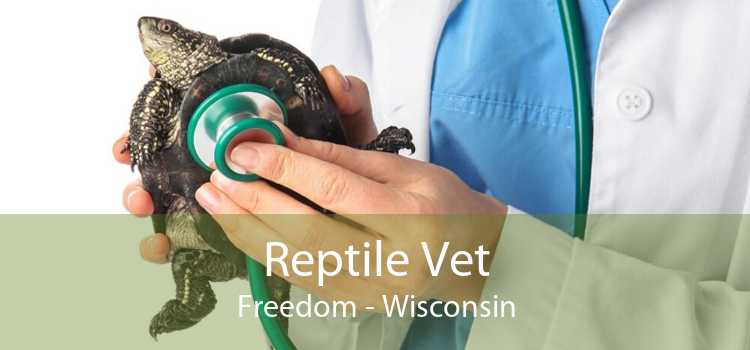 Reptile Vet Freedom - Wisconsin