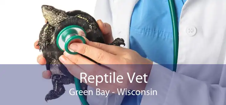 Reptile Vet Green Bay - Wisconsin