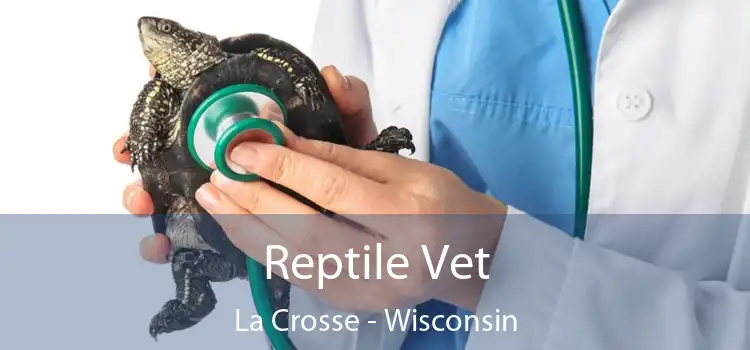 Reptile Vet La Crosse - Wisconsin