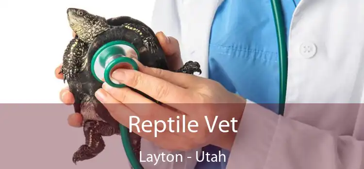 Reptile Vet Layton - Utah