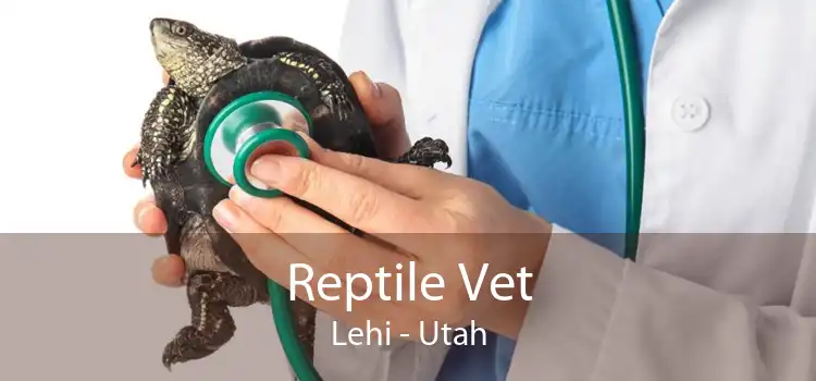 Reptile Vet Lehi - Utah