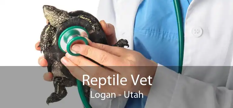 Reptile Vet Logan - Utah