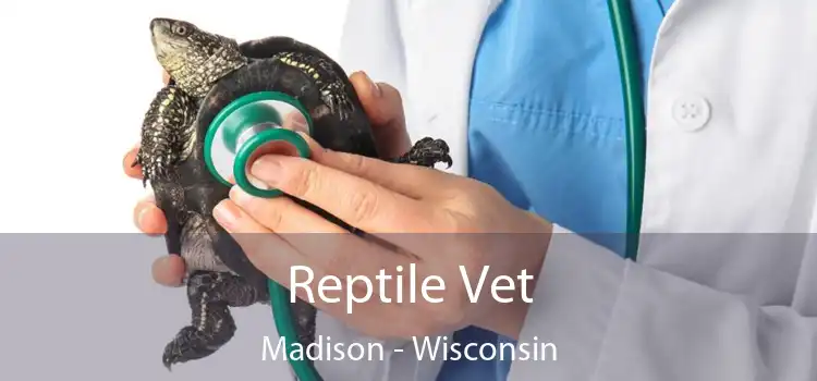 Reptile Vet Madison - Wisconsin