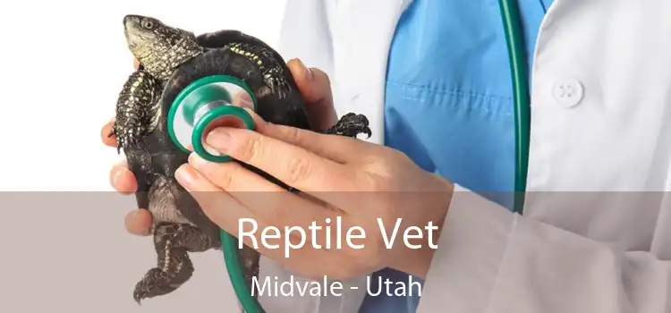 Reptile Vet Midvale - Utah