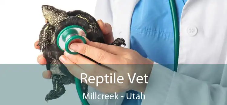 Reptile Vet Millcreek - Utah