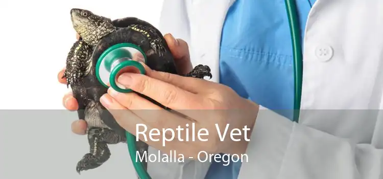 Reptile Vet Molalla - Oregon