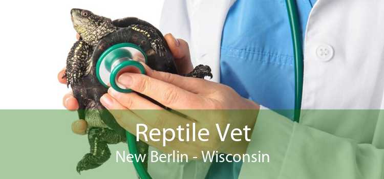 Reptile Vet New Berlin - Wisconsin