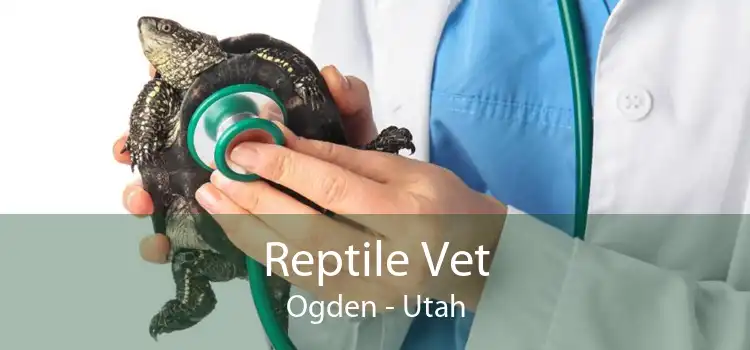 Reptile Vet Ogden - Utah