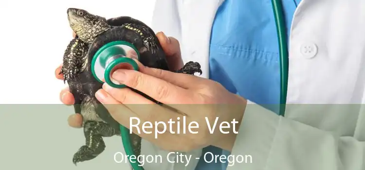 Reptile Vet Oregon City - Oregon