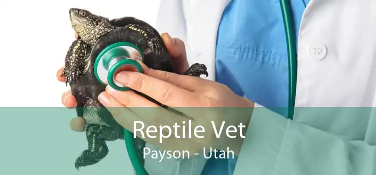 Reptile Vet Payson - Utah