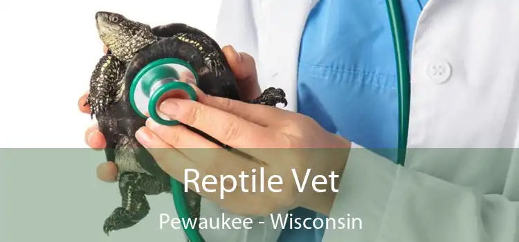 Reptile Vet Pewaukee - Wisconsin