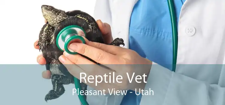 Reptile Vet Pleasant View - Utah