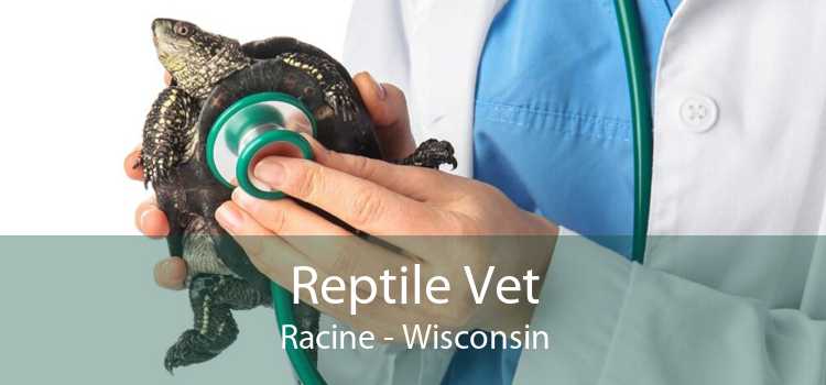 Reptile Vet Racine - Wisconsin