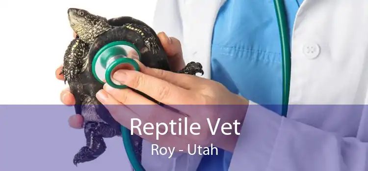 Reptile Vet Roy - Utah