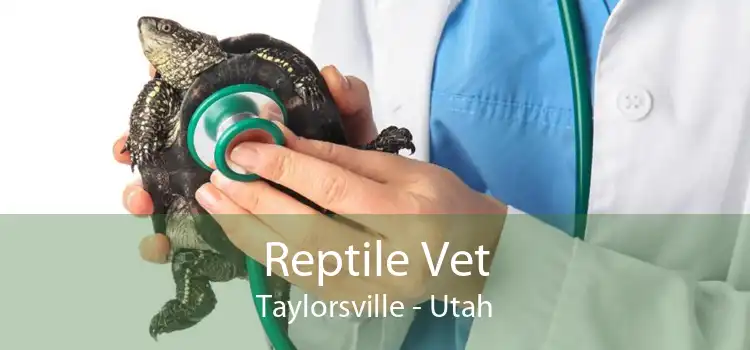 Reptile Vet Taylorsville - Utah