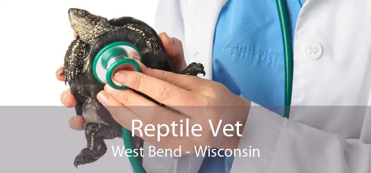 Reptile Vet West Bend - Wisconsin