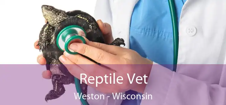 Reptile Vet Weston - Wisconsin