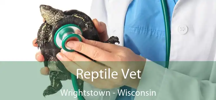 Reptile Vet Wrightstown - Wisconsin