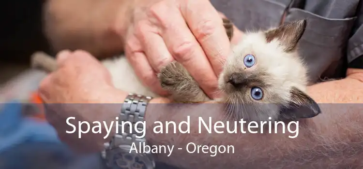 Spaying and Neutering Albany - Oregon