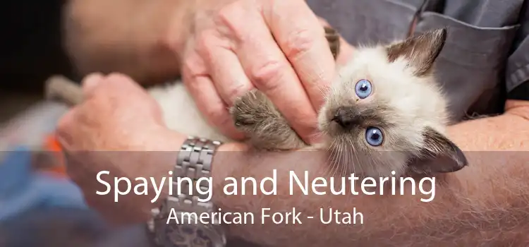 Spaying and Neutering American Fork - Utah